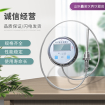 Digital display pressure thermometer stainless steel digital table WSTDTM491 high precision thermometer 280 288 rice thread