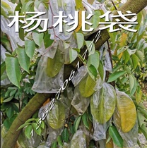 Agricultural ear-shaped sleeve carambola film bagging Guava jujube bag Passion fruit insect-proof bag cover Fruit bag