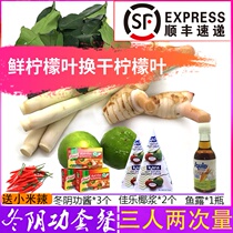 Fresh Winter Yin Gong Soup Fresh Hot Pot Soup Thailand Imported Winter Yin Gong Hot Pot Sauce Citronella South Ginger