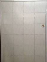 drhine bao plate T100
