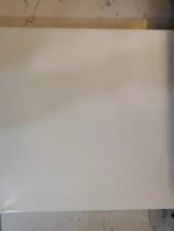 drhine bao plate T107