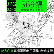 Gongbi painting flowers and birds white sketch background Chinese painting high-definition pictures electronic version material line drawing practice draft copy