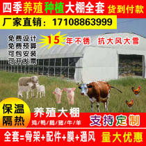 Elliptic tube breeding greenhouse chicken greenhouse full set of pig raising cattle and sheep greenhouse skeleton steel pipe planting Mushroom Mushroom Shed
