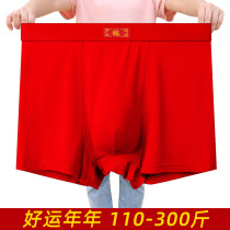 Big code Ben year mens red flat corner underpants 200 catty pants Fat Chai Tai pants Father Fat among the fattening young 300