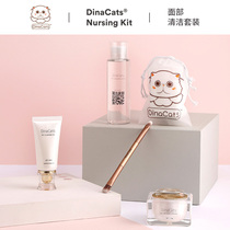 Race class products DinaCats Dina Cat House Thailand imported cats and dogs pets go to tears water artifact set