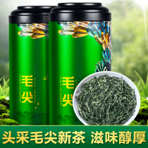 Wang Dabang authentic Maojian tea 2021 New Tea Tea Tea Bud bulk gift box Green Tea 500g