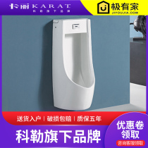 Kohlers Carrie wall-mounted wall-mounted automatic integrated induction urinal urinal men 20406T