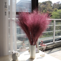 Net Red Fen Dai Chaos Dried Grass Flowers Dried Flowers Exhibition Scene Decoration Living Room Decoration Flower Shooting Props