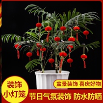 National Day Mid-Autumn Festival Red flocking small lantern ornaments tree bonsai pendant wedding indoor outdoor housewarming decoration