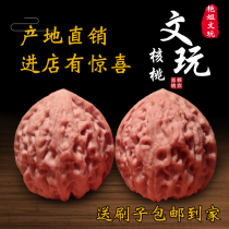 Yan sister Wenwen playing walnut wild grinding plate boutique four buildings official hat tiger head stuffy tip