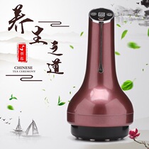 Scraping instrument Meridian Dredging Instrument Lymphatic Drainage massager Thin leg Home Electric suction five rows Charging Meridian Brush