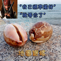 Natural conch shell map Baoluo gift gift fish tank decoration floor wall stickers decoration home decoration ornaments