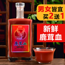 Sika deer velvet blood wine Deer whip Deer blood wine tablets Blood fresh cream Ginseng three whips health Northeast gift box for men