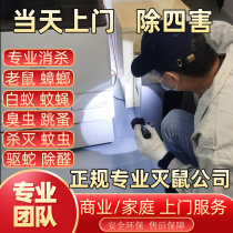 Chongqing Home Deposit for the Prevention and Control of Termite Deposit for the Eradication of Spine Bedbugs in Mouse