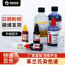 Rapid Gram Staining Liquid Decolorization Liquid 100 250 Besceau Microscopy for Biological Bacterial Stains