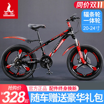 Phoenix Childrens Bike Mountain 20 22 24-inch Variable Speed Boys and Girls Student Youth Cycling Middle School