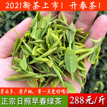 Rizhao Green tea 2021 new tea early spring tea head pick premium 500g chestnut flavor bulk gift box fried green