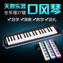 Swan 37 key mouth organ children beginner students to play musical instruments with oral organ adult to send teaching instructions
