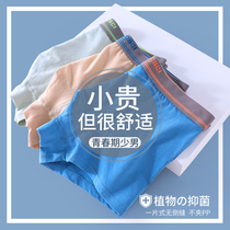 Childrens underwear cotton boys summer boxer shorts junior high school students high school boys teenagers thin pants