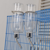 Parrot birds automatic drinking water bottle Small medium large tiger skin Xuan Feng King Kong ball kettle supplies