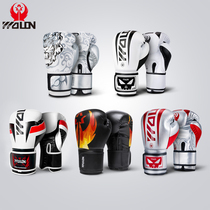 Five Dragons boxing gloves national tide new products Sanda boxing kit men and women training sandbag Muay Muay Thai fighting adult Boxing