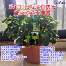  Household automatic flower watering device dripper seepage device timing adjustable speed lazy watering drip irrigation watering artifact