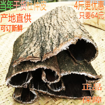 Dry Eucommia 500g new goods Guizhou Plateau Eucommia ulmoides thick skin raw material tea brewing wine
