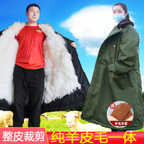 Thickened sheepskin army cotton coat fur one cold-proof men warm northeast leather old-fashioned liner off cotton clothes women