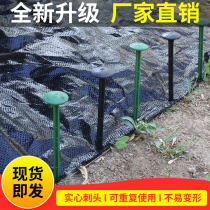 Plastic nails thick lengthened branch nails greenhouse film nails farmland black defortification barbed nails high quality