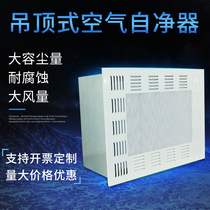 QS certified ceiling Air Self-purifier purification workshop clean room industrial ffu high efficiency filter purifier