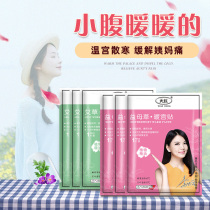 Rainbow Wormwood warm paste baby self-heating warm Palace treasure female Palace cold conditioning motherwort aunt warm hot paste