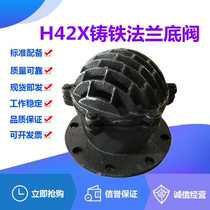 H42X-6 10 cast iron flange bottom valve DN40-400 water pump suction shower head Spring lift check valve