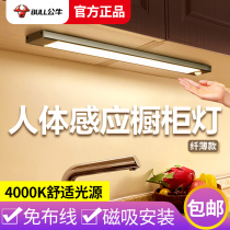 Bull led body induction cabinet light bar wireless charging magnetic shoe cabinet wardrobe porch kitchen night light