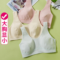 Girls Bra Junior High School High School Students Summer Thin Cotton Nest-style Underwear Development Period Big Chest Small Size