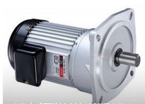 J220-200-18-U LY motor LUYANG motor J220-200-18-U J220-200-20-S3MB