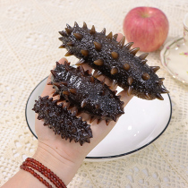 Simulation sea cucumber fake aquatic seafood model water hair food hotel dish sample decoration props toy liao ginseng