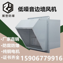 WEXD-250D4 explosion-proof side wall fan DWEX-250ED side wall exhaust fan square wall axial flow fan