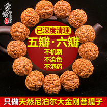 Nepal Vajra Bodhi play seed hand string violent meat double dragon five petals six petals red and yellow skin men and women bracelet