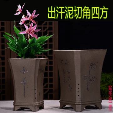 宜兴紫砂蟹爪兰盆-宜兴紫砂蟹爪兰盆促销价格、宜兴紫砂蟹爪兰盆品牌- 淘宝