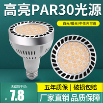 led track spotlight bulb par30 single light clothing store supermarket raw fresh light super bright energy saving E27 screw mouth light source