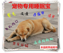 Dog dog sleeps to be honest sleep sleepless bath Valium dog medicine cut manicure nail adoption Wandering dog
