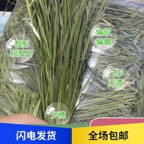 22 years Mibkang 5A grade baby rabbit drying Timothy Dry herd pet rabbit dragon cat Dutch pig