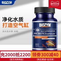 Bainme Nitrifying Bacteria Aquarium Water Stabilizer Water Purifier Digestion Bacterial Aquatic Fish Fish Fish Products