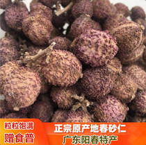 Yangchun spring Amomum villosum 100g spring Amomum wild spring sand kernel dry fruit Yangchun specialty Chinese herbal medicine nourishing stomach soup steamed meat