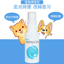Spoil with pet positioning defecation-inducing agent 30ML Pets for training Inducing Liquid-Training Toilet Agent