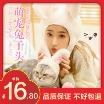 Soft cute Net Red pet cat rabbit ear head cover rabbit cat cat hat cute birthday decorations headdress dress