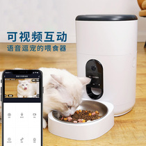 Automatic feeder kittens timed dosing dog smart pitcher pet food pitcher