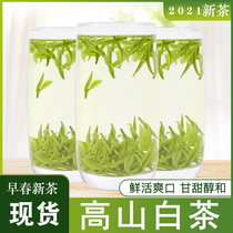 Authentic boutique Zhejiang white tea 2021 spring rare new tea Mingqanshan Maofeng green tea 125 grams a can