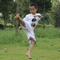 Taekwondo T-shirt Childrens Tao Suit Cotton Taekwondo T-Shirt Summer Leisure Taekwondo T-shirt
