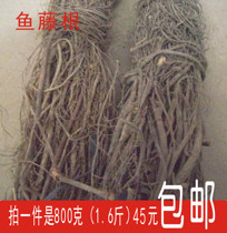 (Roteng root)Roteng root Qingtang fish low toxicity bulk 800 grams 45 yuan